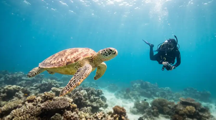 Scuba diving session at the famous Sipadan Marine Park Nusakuya Resort
